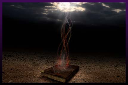 Book about essence of the curse