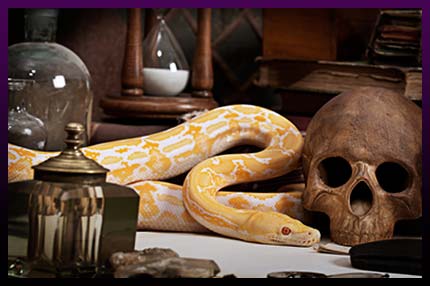 The instant love spell ritual The instant love spell ritual